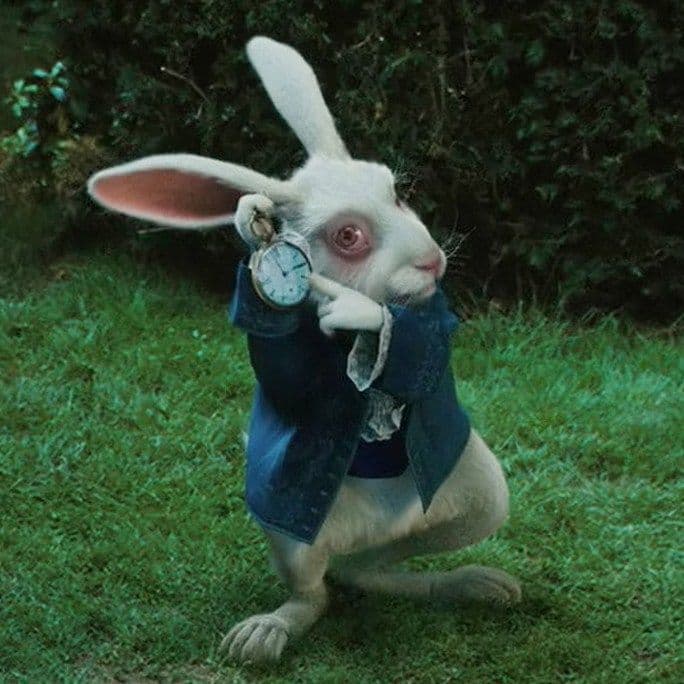 late rabbit